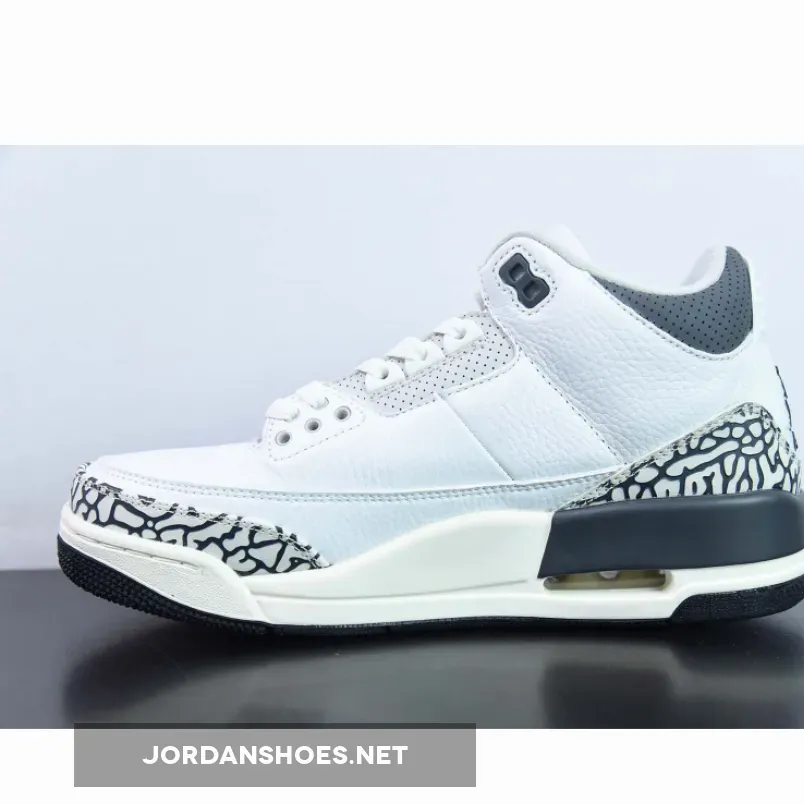 Air Jordan 3 GS Hide N' Sneak , Jordan 3s Hide And Sneak DX6665-100