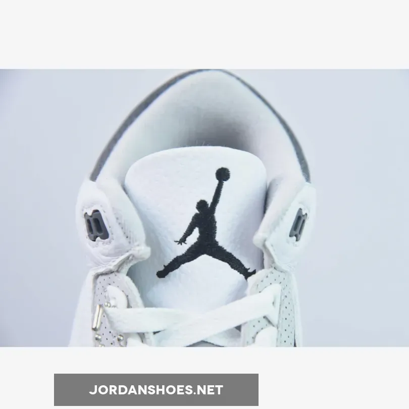 Air Jordan 3 GS Hide N' Sneak , Jordan 3s Hide And Sneak DX6665-100