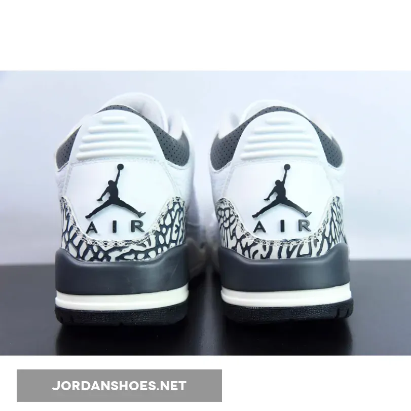 Air Jordan 3 GS Hide N' Sneak , Jordan 3s Hide And Sneak DX6665-100