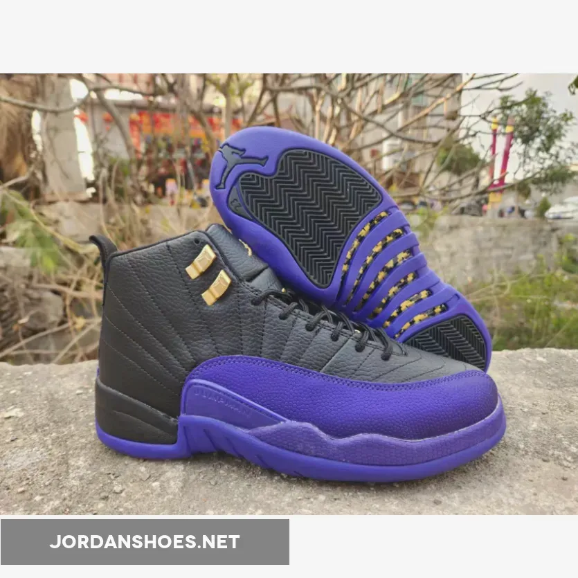 Air Jordan 12 Black/Field Purple-Taxi