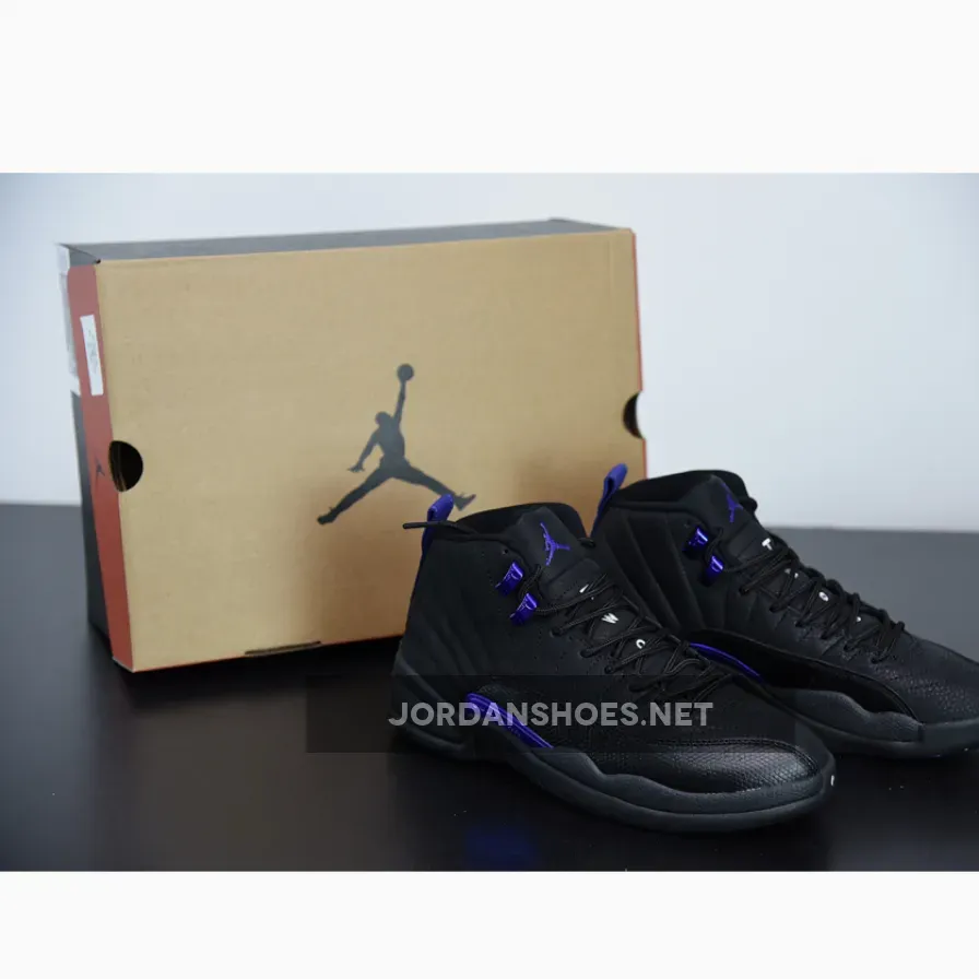 Air Jordan 12 "Dark Concord"